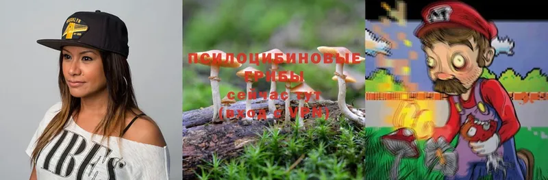 наркотики  Азнакаево  Псилоцибиновые грибы Magic Shrooms 